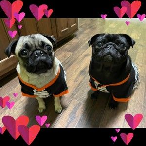 Meet your Posher, Gena